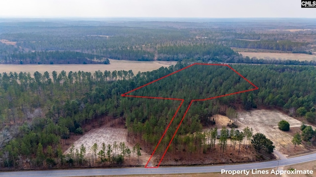 Two Notch Rd, Batesburg SC, 29006 land for sale