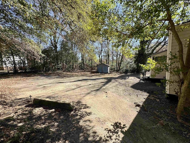 view of yard featuring a shed