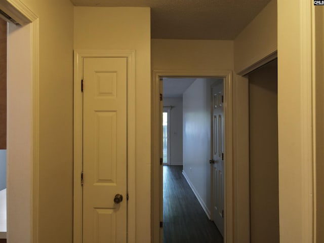 corridor with dark hardwood / wood-style flooring