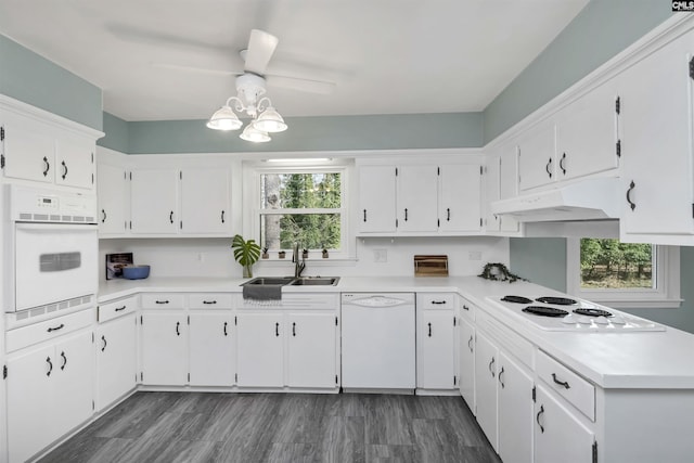 kitchen featuring dark hardwood / wood-style floors, sink, white cabinets, and white appliances