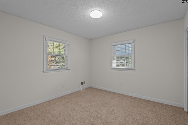 empty room featuring a textured ceiling, a healthy amount of sunlight, and carpet