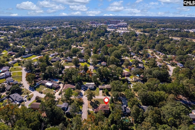 bird's eye view