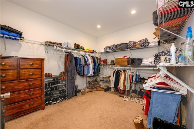 spacious closet featuring carpet floors