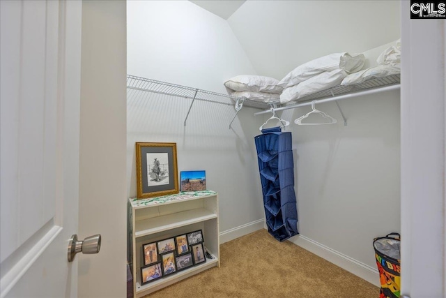 spacious closet featuring carpet floors