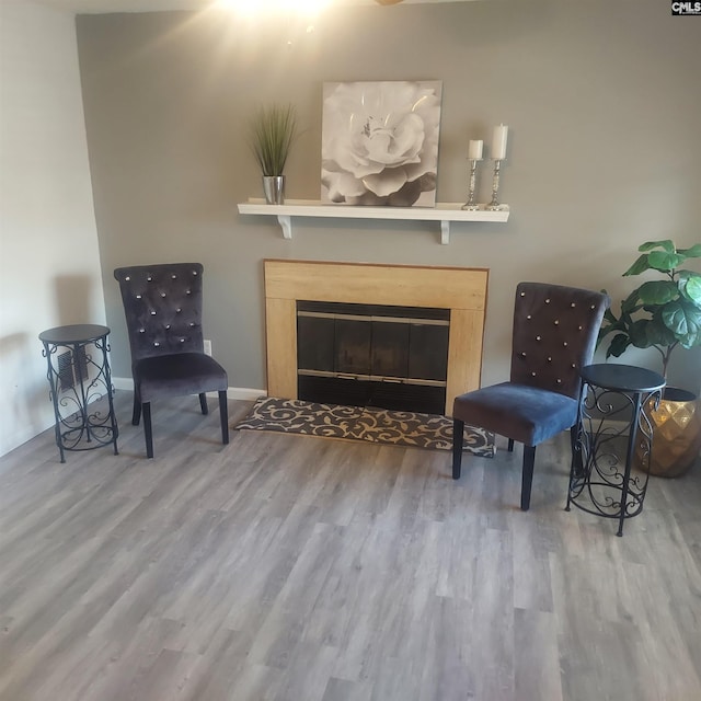 living area featuring hardwood / wood-style floors