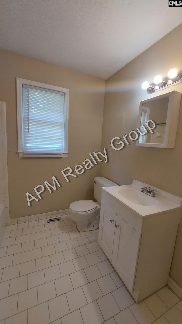 bathroom featuring vanity, toilet, vaulted ceiling, and a textured ceiling