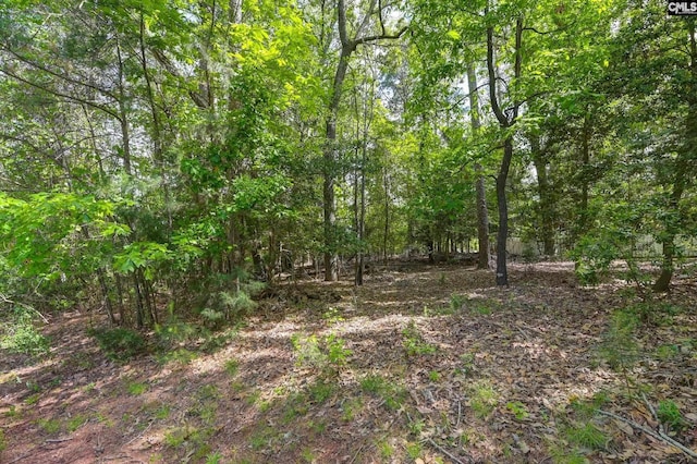 104 Lake Vis, Chapin SC, 29036 land for sale