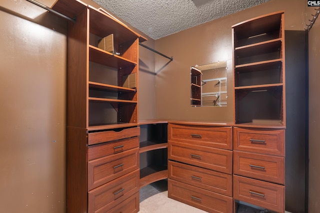 spacious closet with light carpet