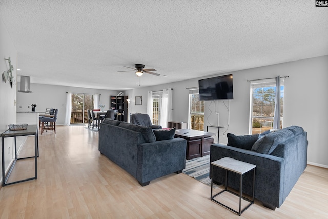 living room featuring ceiling fan, a textured ceiling, and light wood-type flooring