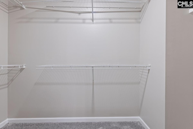 walk in closet with carpet