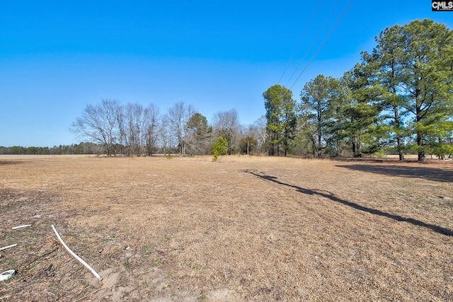 view of yard featuring a rural view