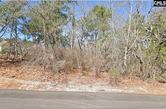 132 Stone Bridge Dr, Gaston SC, 29053 land for sale