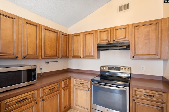 kitchen featuring stainless steel appliances, lofted ceiling, and a textured ceiling