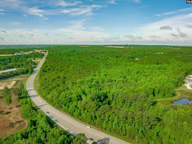 321 Hwy, West Columbia SC, 29172 land for sale