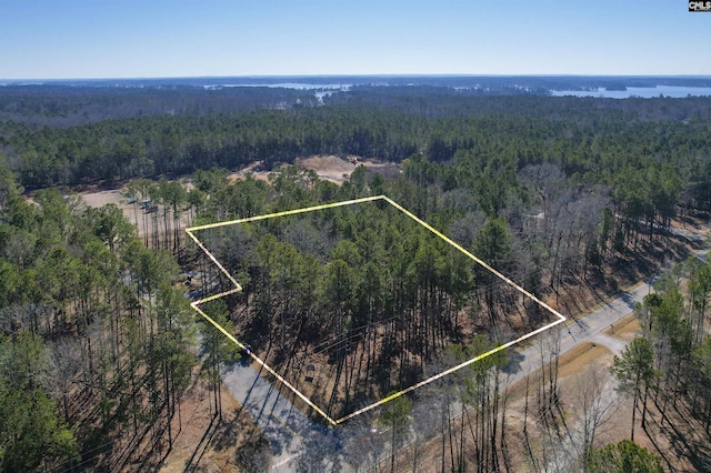 Listing photo 3 for Hollands Landing Rd Unit 216, Prosperity SC 29127