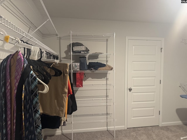 walk in closet featuring carpet flooring