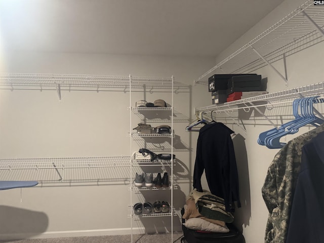 view of spacious closet