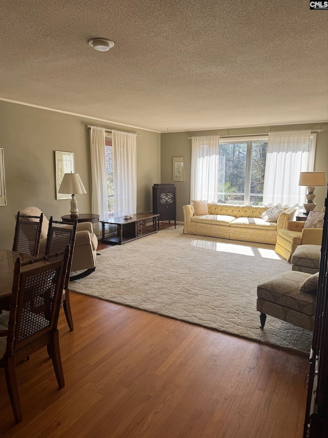 living room featuring hardwood / wood-style flooring and a textured ceiling