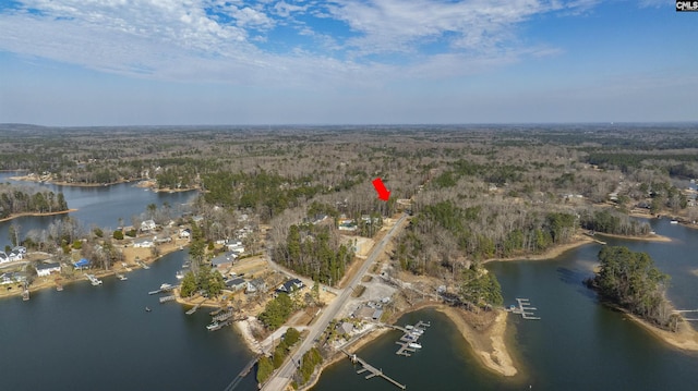 1632 Dreher Island Rd, Chapin SC, 29036 land for sale