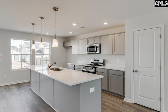 kitchen featuring appliances with stainless steel finishes, a kitchen island with sink, sink, and gray cabinetry