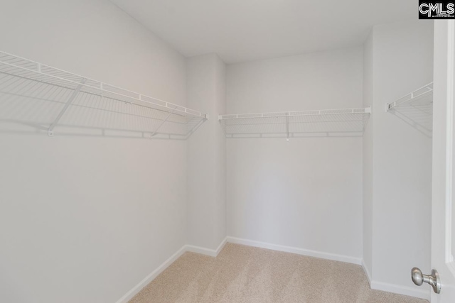 spacious closet featuring light carpet