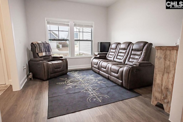 living room with hardwood / wood-style flooring