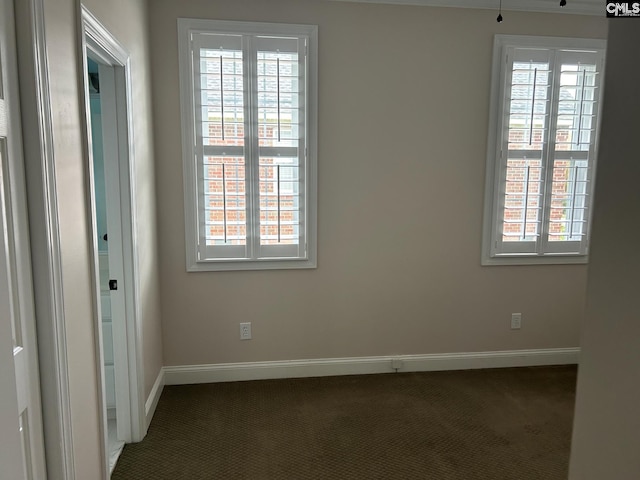 spare room featuring carpet and a wealth of natural light