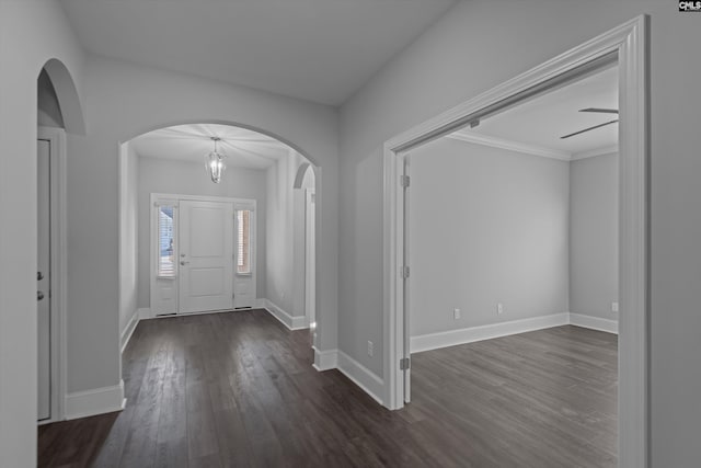 entryway with dark wood-type flooring