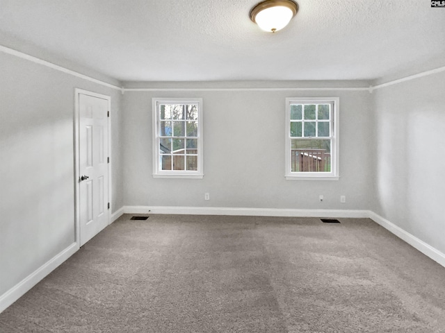 carpeted spare room with a textured ceiling and a healthy amount of sunlight