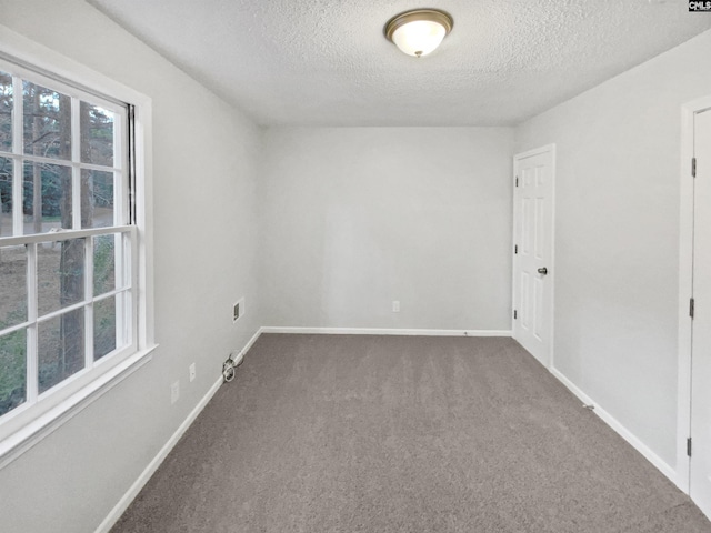 unfurnished room with carpet floors and a textured ceiling