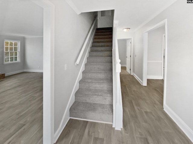 stairs featuring hardwood / wood-style floors and ornamental molding