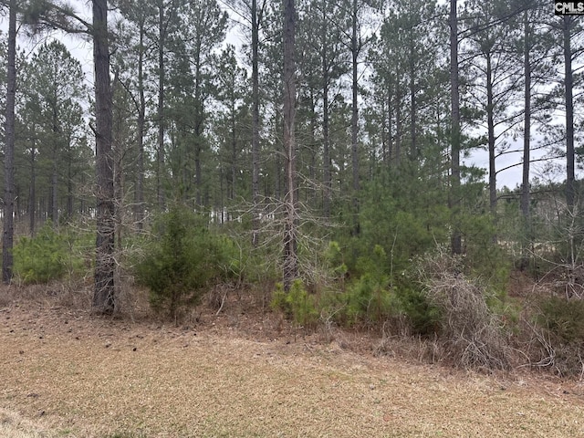 00 Livingston Rd, Pomaria SC, 29126 land for sale