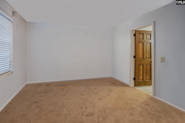 carpeted spare room with a wealth of natural light