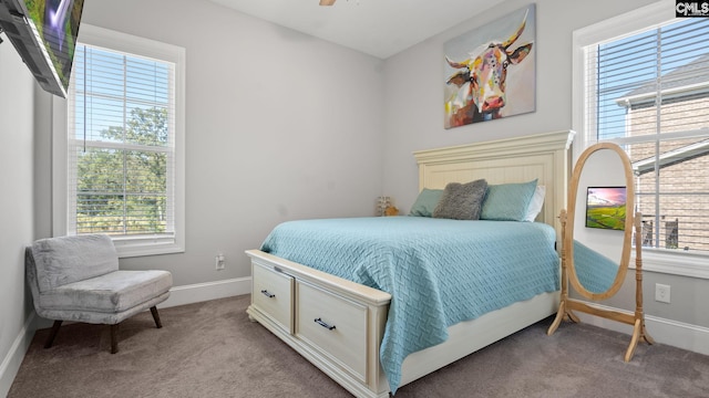 bedroom with light colored carpet