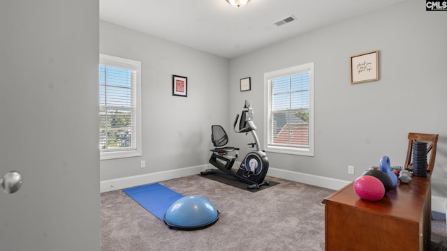 exercise room featuring light colored carpet