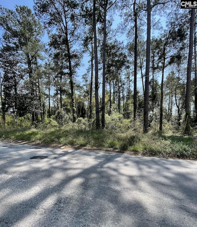 2501 Kneece Rd, Columbia SC, 29223 land for sale