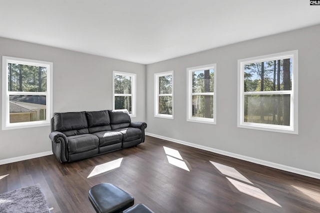 living room featuring dark hardwood / wood-style flooring