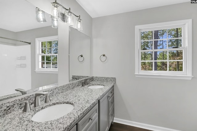 bathroom with vanity and a healthy amount of sunlight