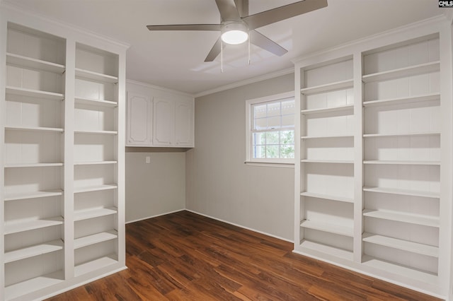 walk in closet featuring ceiling fan and dark hardwood / wood-style flooring