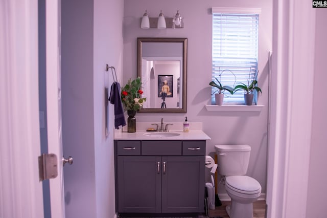 bathroom with vanity and toilet