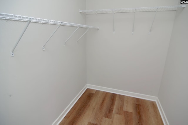 spacious closet featuring hardwood / wood-style floors