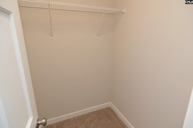 walk in closet featuring carpet floors