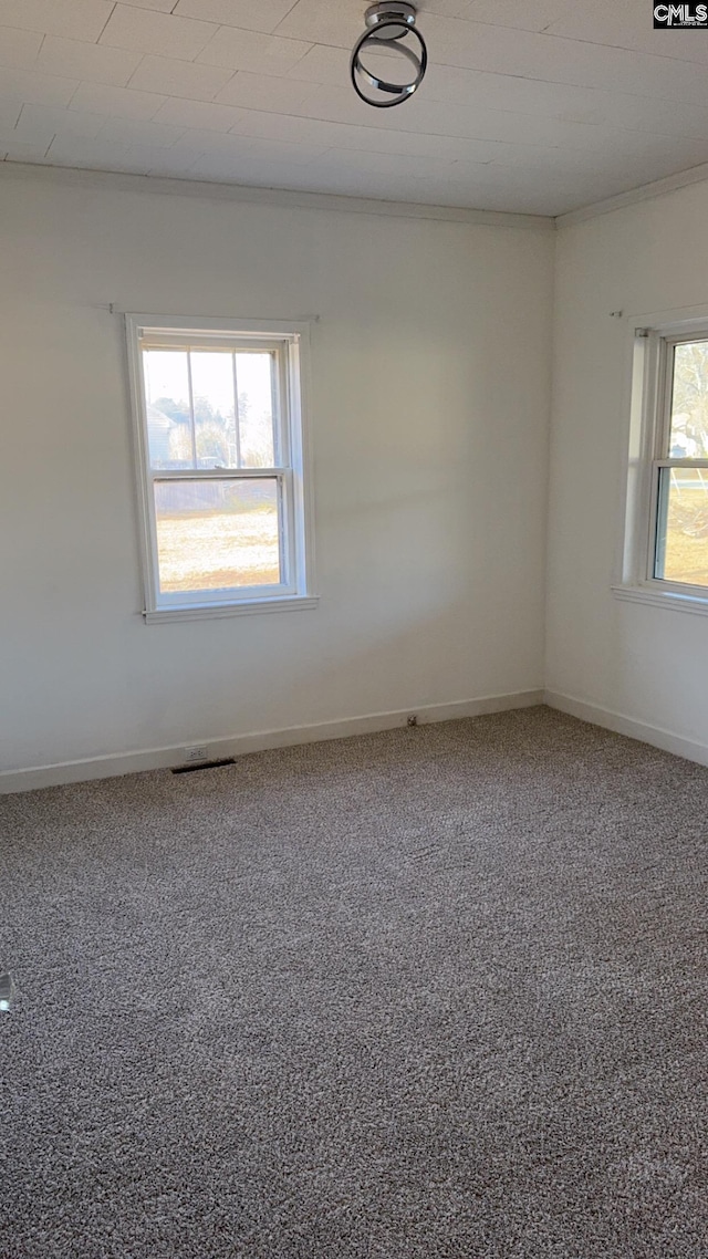 spare room with ornamental molding and carpet