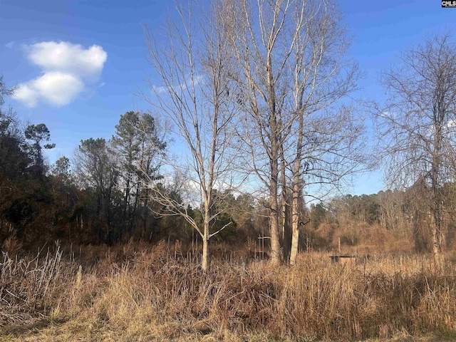 210 Ridge Rd Unit 25, Winnsboro SC, 29180 land for sale