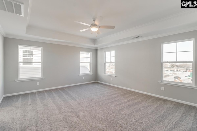 unfurnished room featuring carpet floors, a tray ceiling, and visible vents