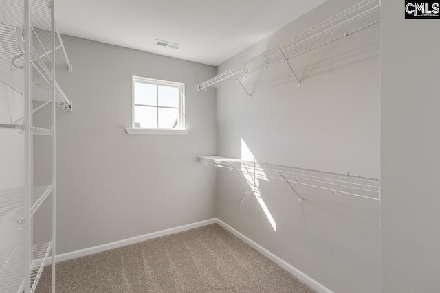 spacious closet featuring carpet floors and visible vents