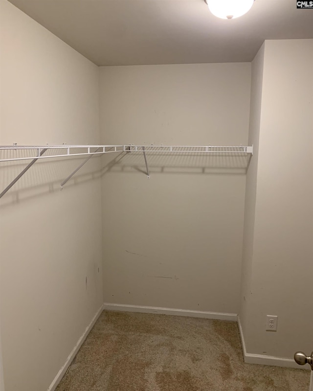 walk in closet featuring carpet