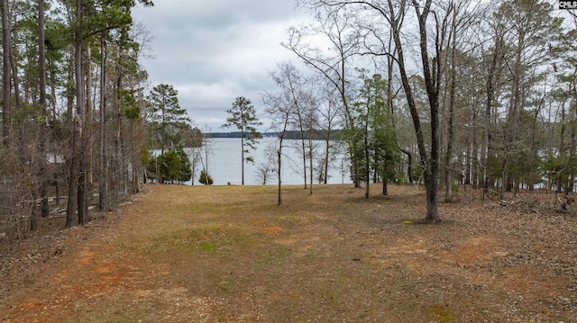 Listing photo 3 for 262 Georgia Dr, Leesville SC 29070