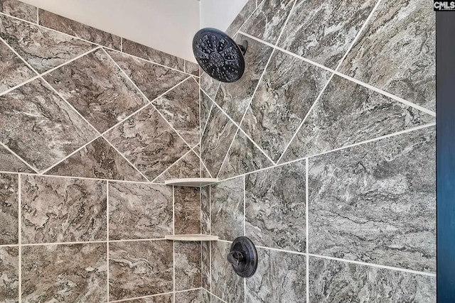 interior details featuring tiled shower