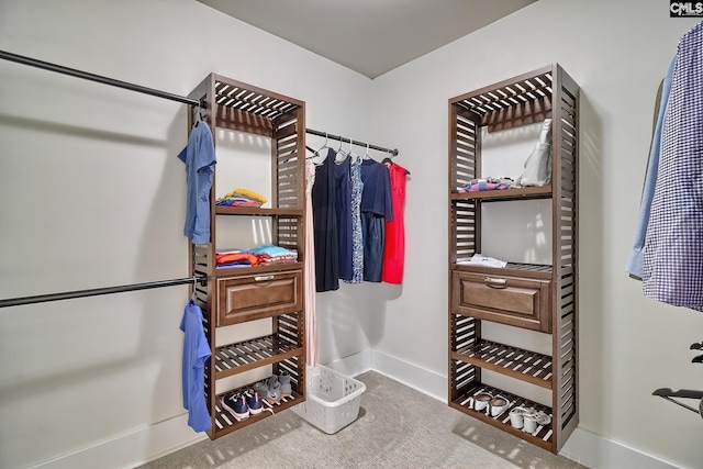 spacious closet featuring carpet floors